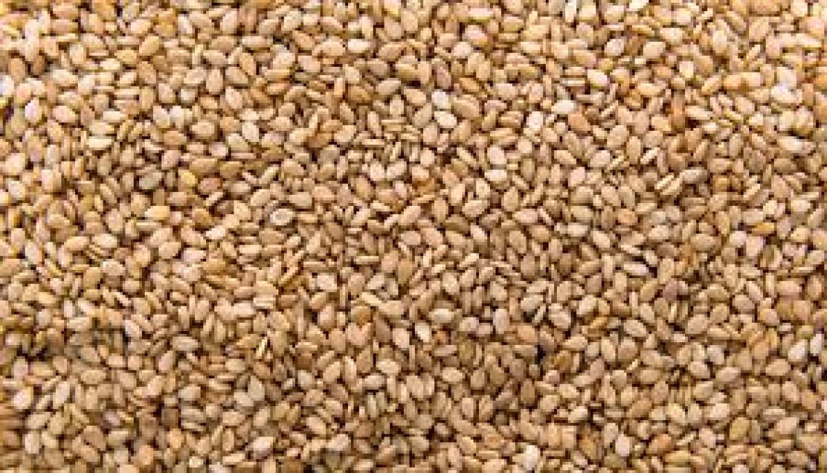 Blessing Mudungu from Zimbabwe